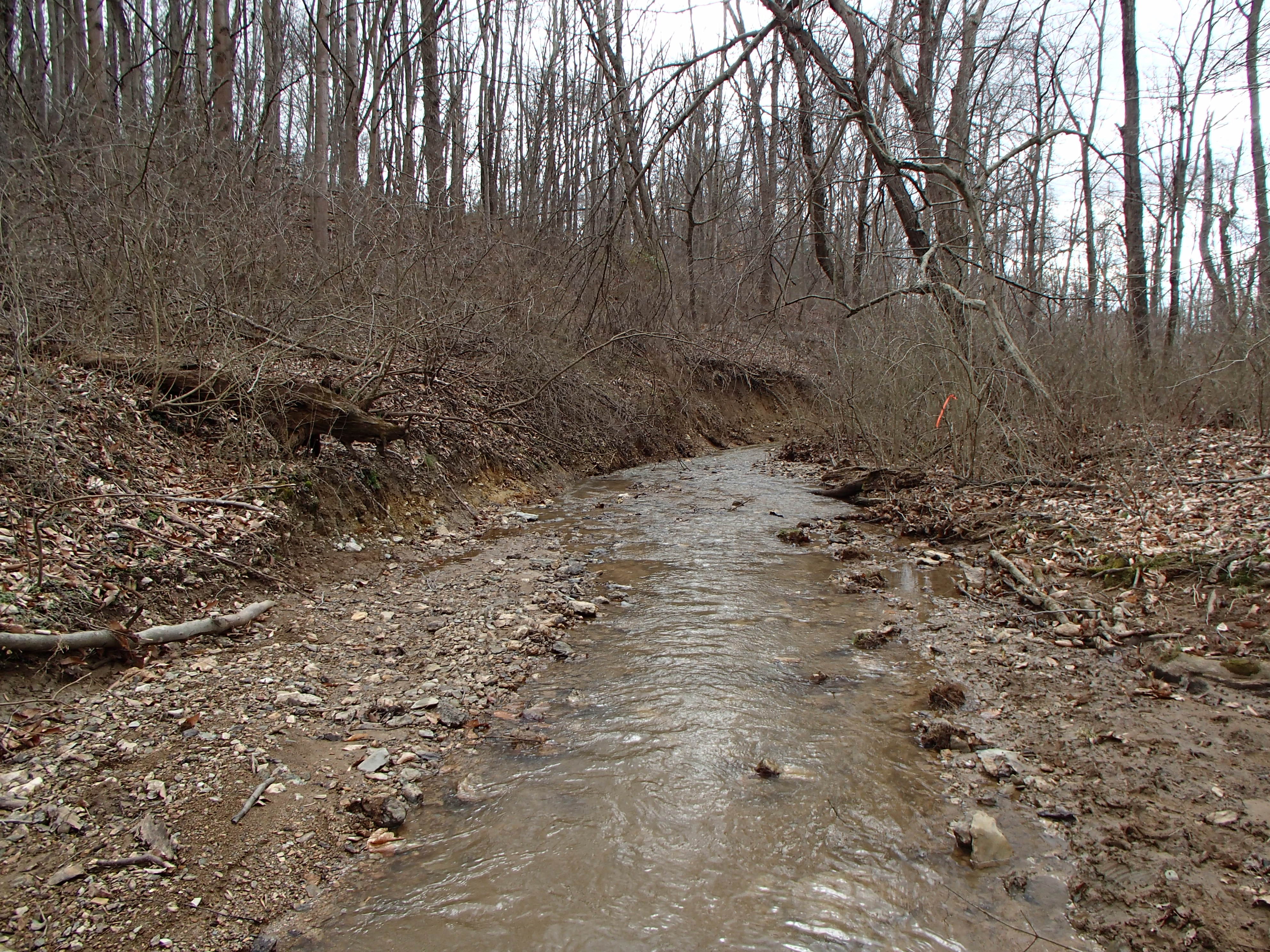 Field photo showing stream conditions at site DOUB-119-R-2016_midpoint downstream